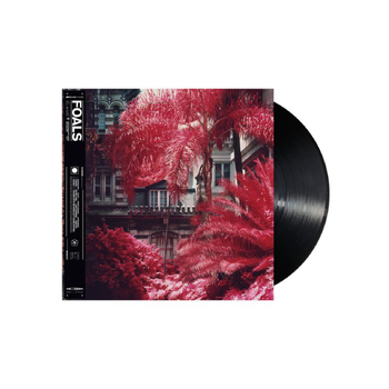 Everything Not Saved Will Be Lost – Part 1: Vinyl