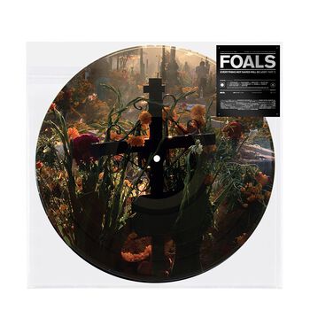 Everything Not Saved Will Be Lost Part 2 Picture Disc