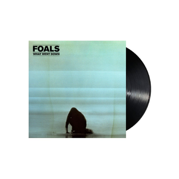 What Went Down Vinyl